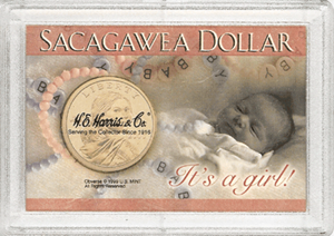 Sacagawea "It's A Girl!" Frosted Case