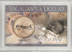 Sacagawea "It's A Boy!" Frosted Case