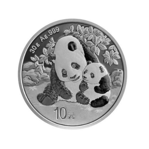 2024 30 Gram Chinese Silver Panda Coin BU