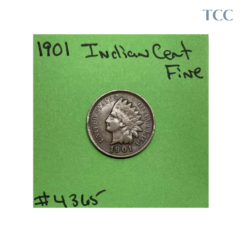 1901 Indian Head Cent Fine (F)