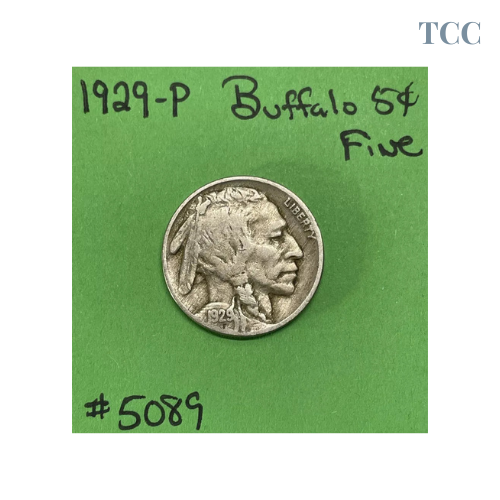 1929 P Buffalo Indian Head Nickel 5c Fine